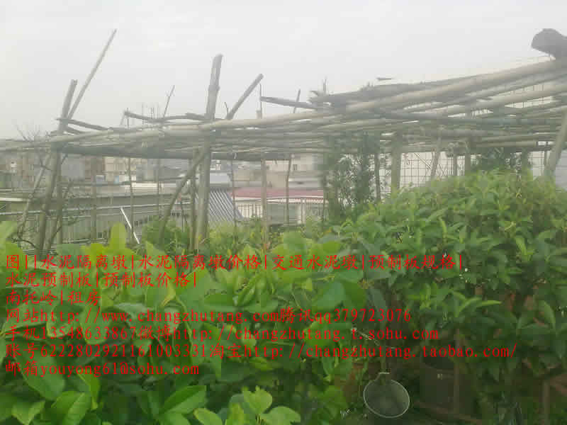 水泥隔离墩 水泥隔离墩价格 交通水泥墩 预制板规格 水泥预制板 预制板价格 南托岭 租房六楼花园1.jpg